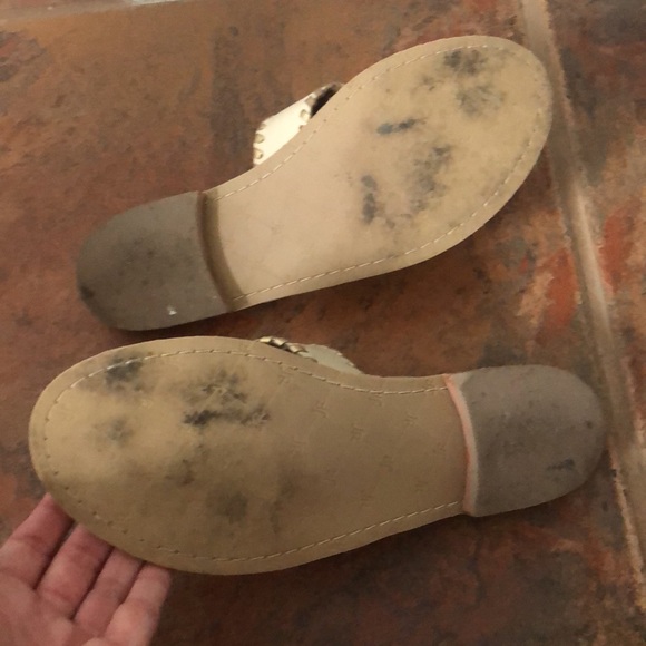 Pineapple Jack Rogers - Picture 4 of 4